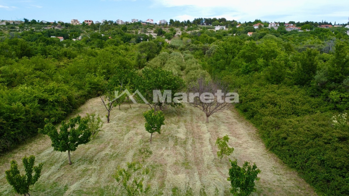 Benkovac - maslinik i vočnjak 4100 m2