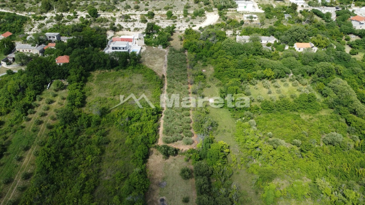 Benkovac - maslinik i vočnjak 4100 m2