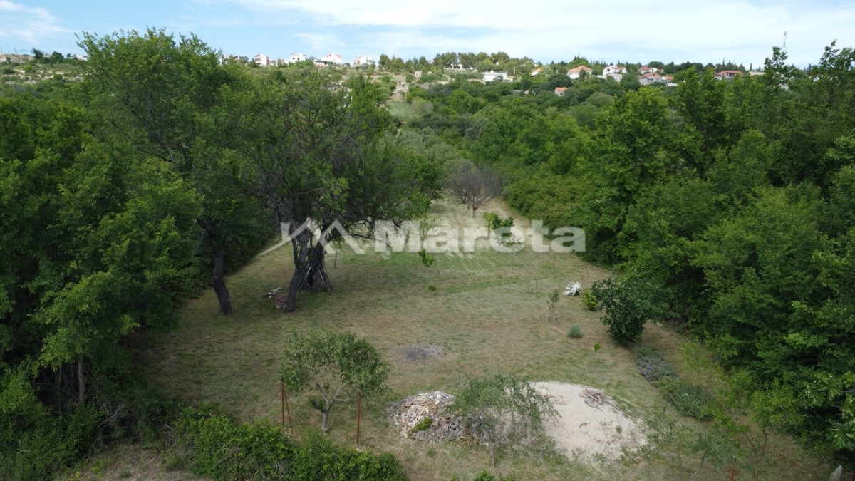 Benkovac - maslinik i vočnjak 4100 m2