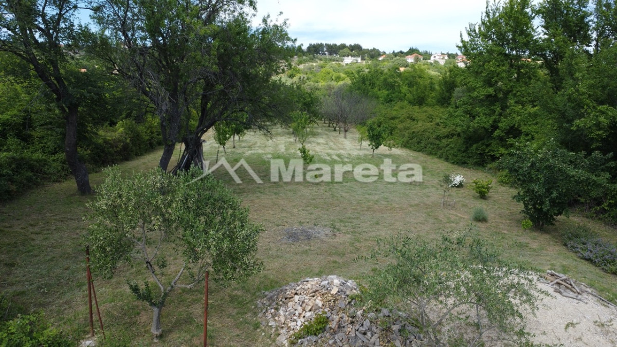 Benkovac - maslinik i vočnjak 4100 m2