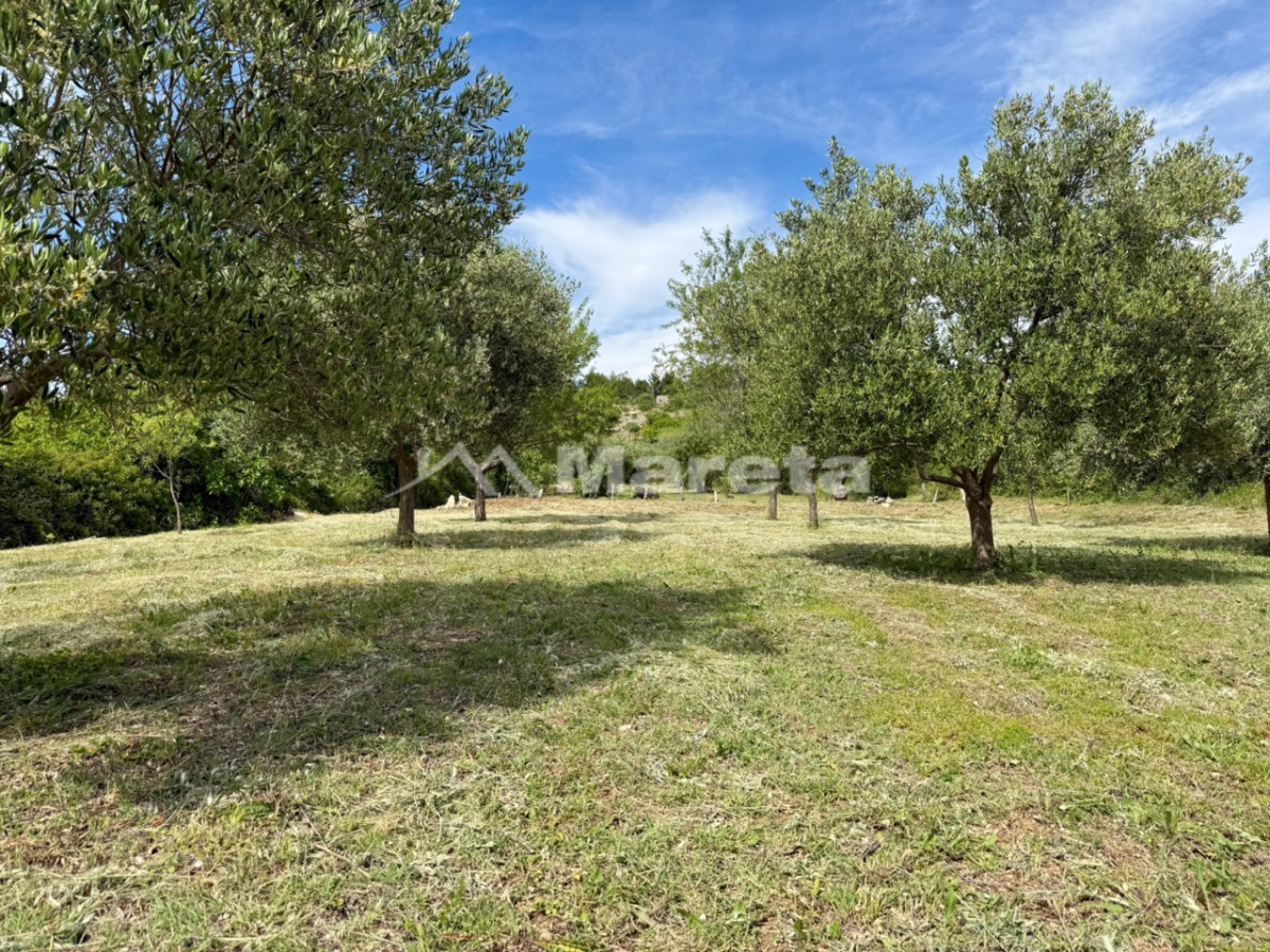 Benkovac - maslinik i vočnjak 4100 m2