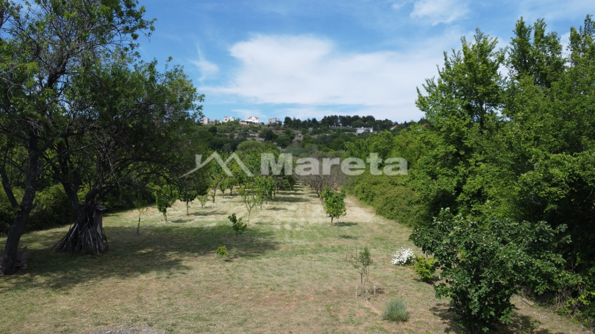Benkovac - maslinik i vočnjak 4100 m2
