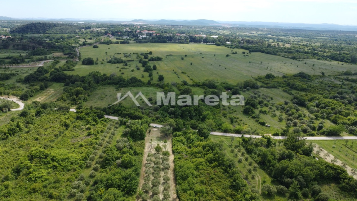 Benkovac - maslinik i vočnjak 4100 m2