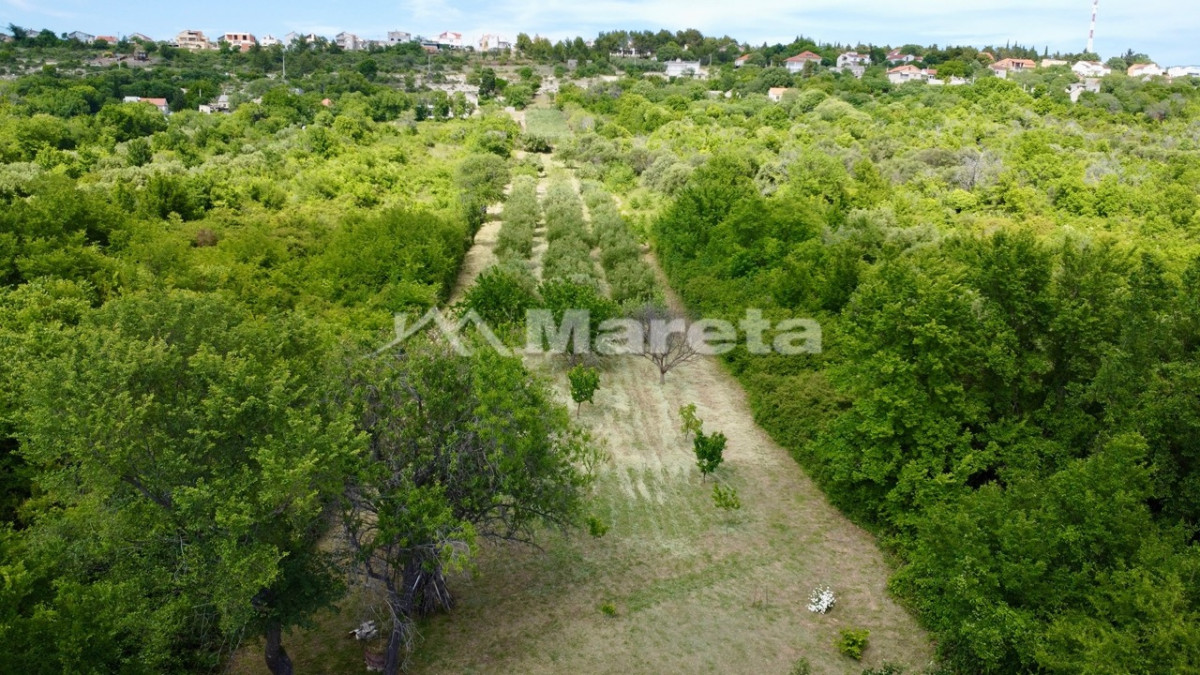 Benkovac - maslinik i vočnjak 4100 m2