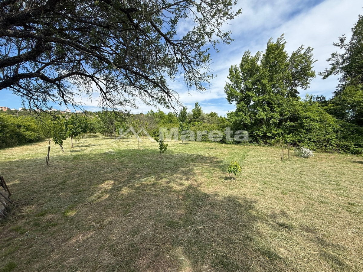 Benkovac - maslinik i vočnjak 4100 m2
