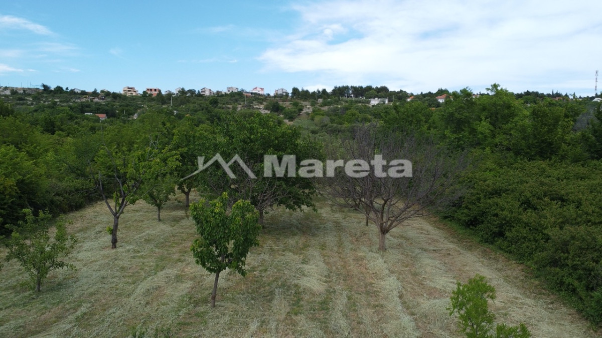 Benkovac - maslinik i vočnjak 4100 m2