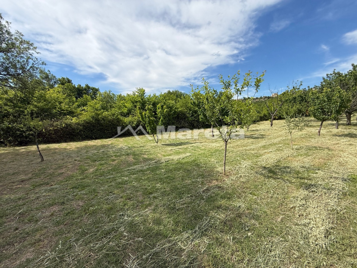 Benkovac - maslinik i vočnjak 4100 m2