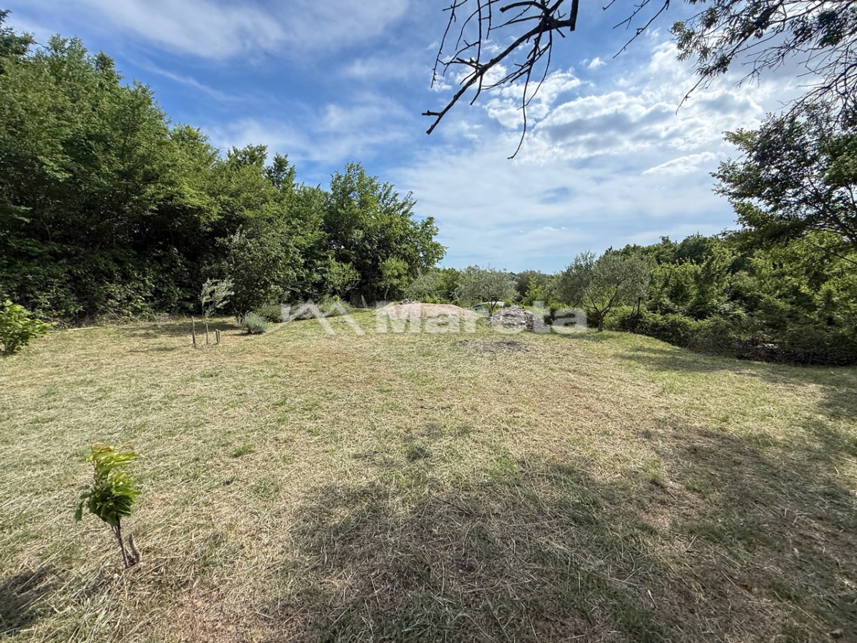 Benkovac - maslinik i vočnjak 4100 m2