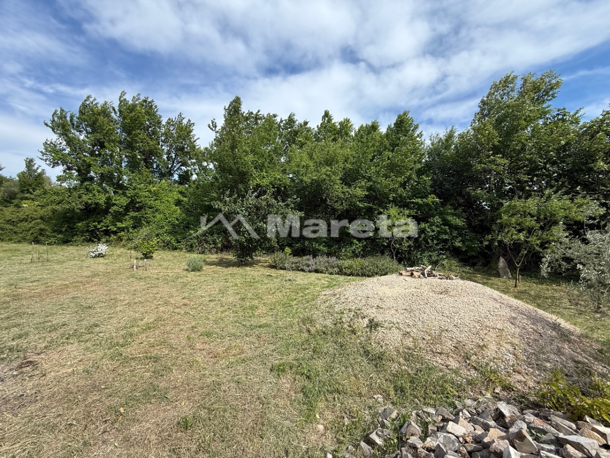 Benkovac - maslinik i vočnjak 4100 m2