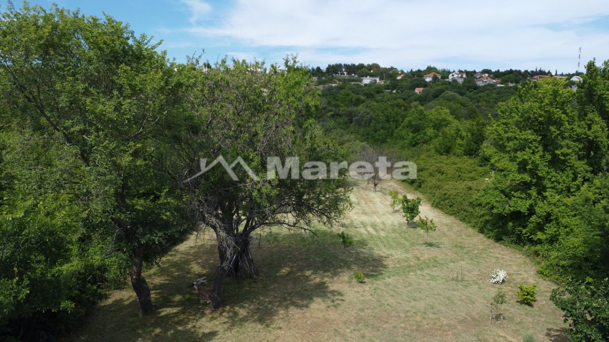 Benkovac - maslinik i vočnjak 4100 m2