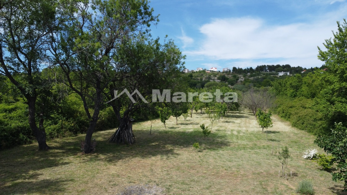 Benkovac - maslinik i vočnjak 4100 m2