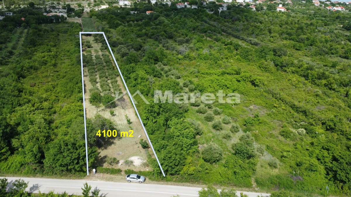 Benkovac - maslinik i vočnjak 4100 m2