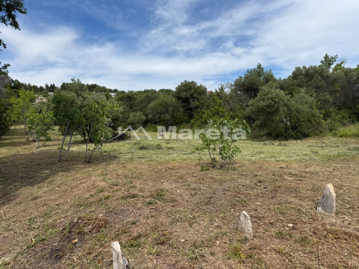 Benkovac - maslinik i vočnjak 4100 m2