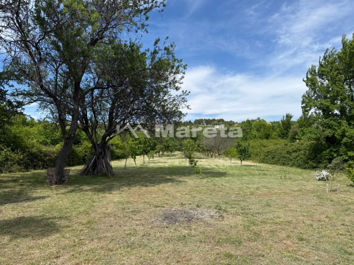 Benkovac - maslinik i vočnjak 4100 m2