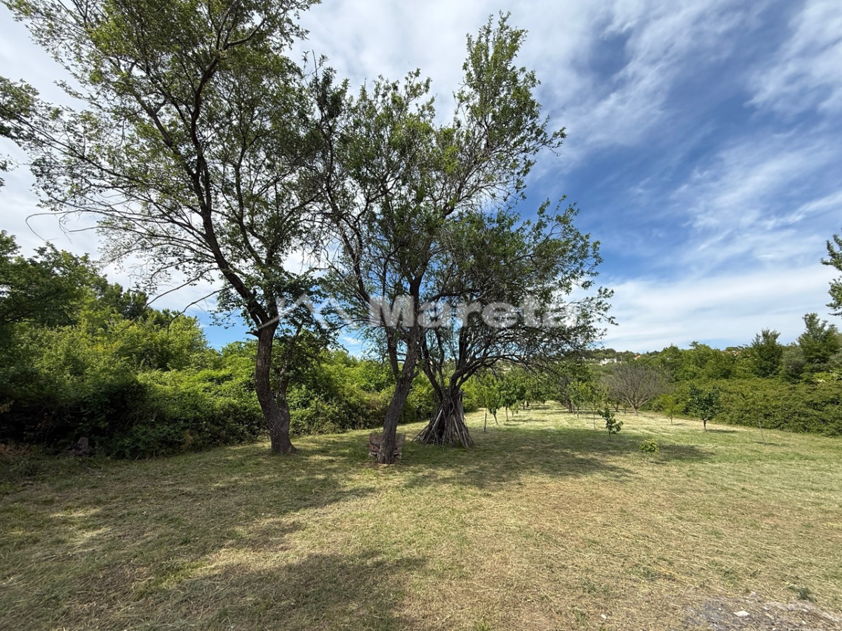Benkovac - maslinik i vočnjak 4100 m2