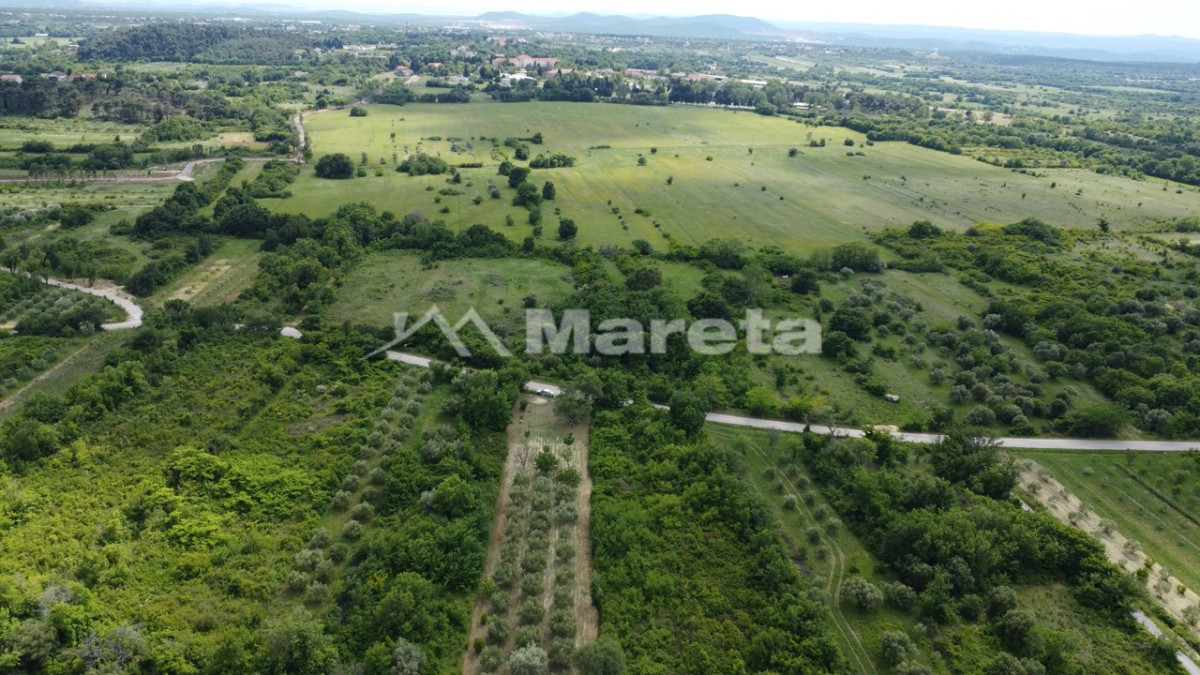 Benkovac - maslinik i vočnjak 4100 m2