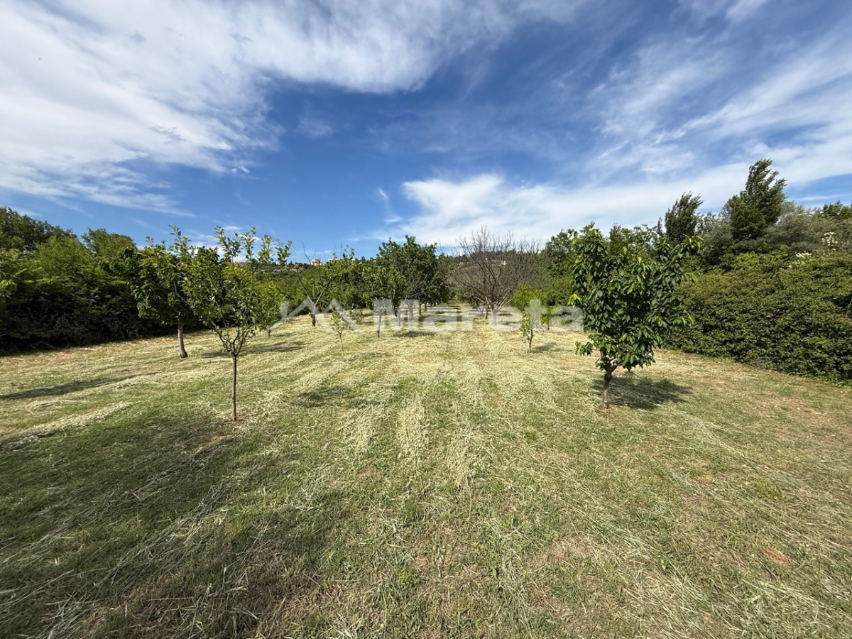 Benkovac - maslinik i vočnjak 4100 m2