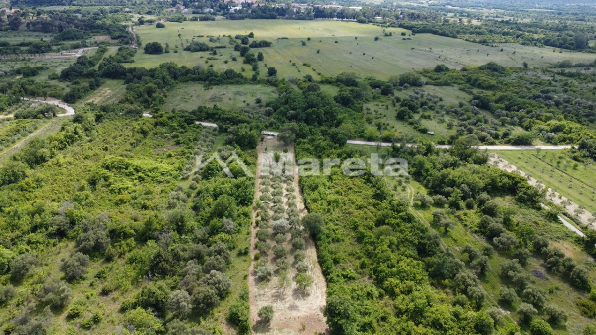 Benkovac - maslinik i vočnjak 4100 m2